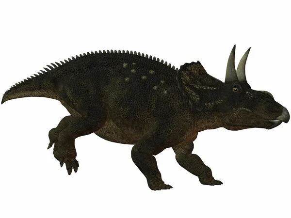 Diceratops-3d Dinosaur — Stockfoto