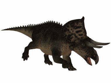 zuniceratops-3d dinazor