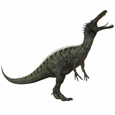 Suchomimus Tenerensis-3D Dinosaur clipart
