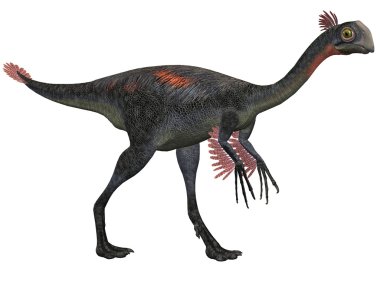 gigantoraptor erlianensis-3d dinazor