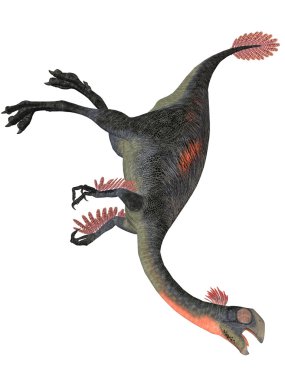 gigantoraptor erlianensis-3d dinazor