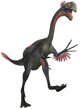 gigantoraptor erlianensis-3d dinazor