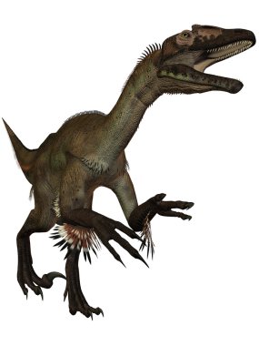 Utahraptor ostrommayorum-3D Dinosaur clipart