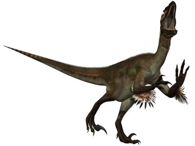 utahraptor ostrommayorum-3d dinazor