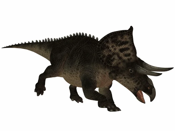 Dinosauro di Zuniceratops-3D — Foto Stock
