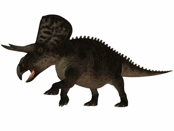 Dinossauro Zuniceratops-3D — Fotografia de Stock