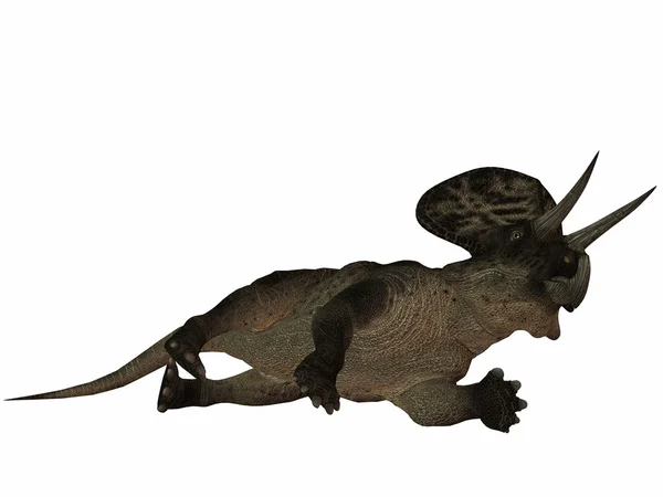 ズニケラトプス 3 d の恐竜 — ストック写真