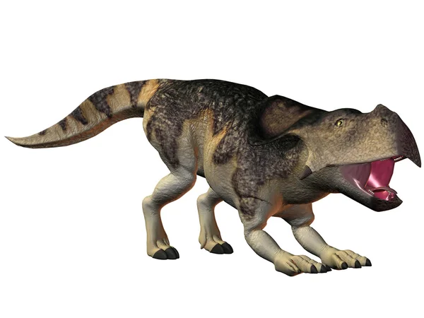 Protoceratops-3D Dinosaur — Stock Photo, Image