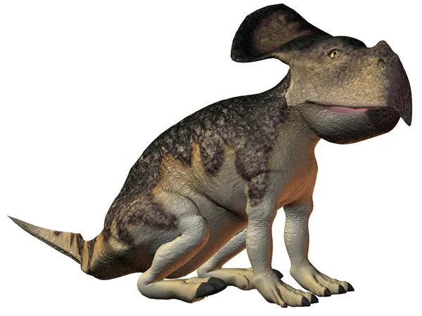 Protoceratops-3d dinazor — Stok fotoğraf