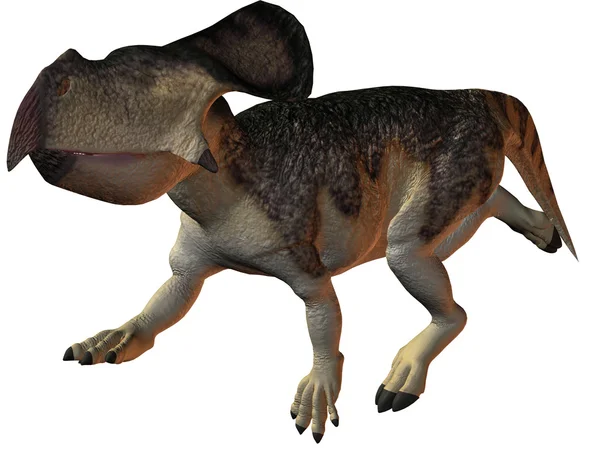 Protoceratops-3d dinozaur — Zdjęcie stockowe