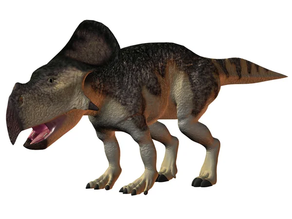 恐竜プロトケラトプス 3d — ストック写真