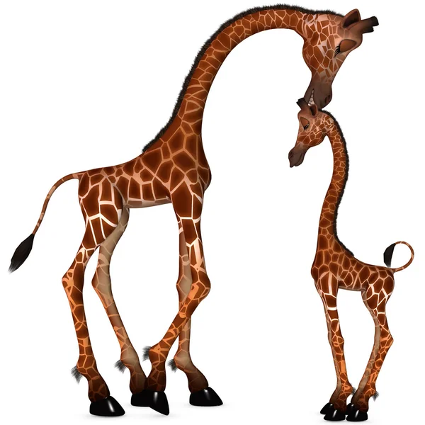 Жираф, Тун — стоковое фото