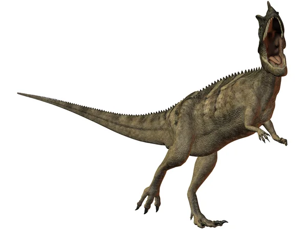 Dinossauro Ceratosaurus nasicornis-3D — Fotografia de Stock