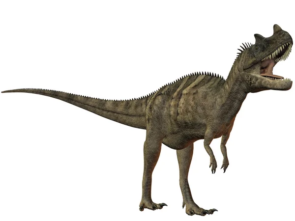 ケラトサウルス nasicornis 3 d の恐竜 — ストック写真