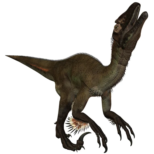 Dinosauro dello Utahraptor ostrommayorum-3D — Foto Stock