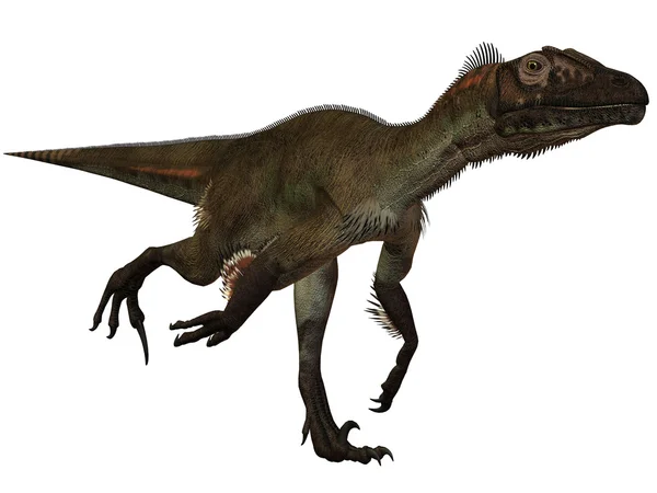 Utahraptor ostrommayorum 3d 恐龙 — 图库照片