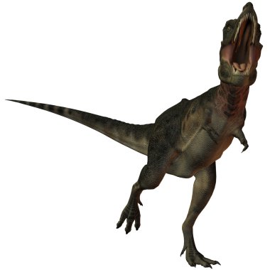 tarbosaurus Batur-3d dinazor