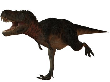 tarbosaurus Batur-3d dinazor