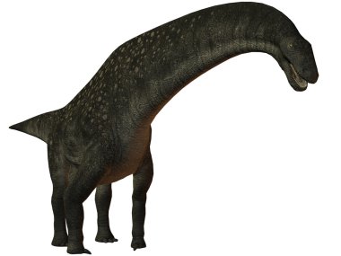 titanosaurus colberti-3d dinazor