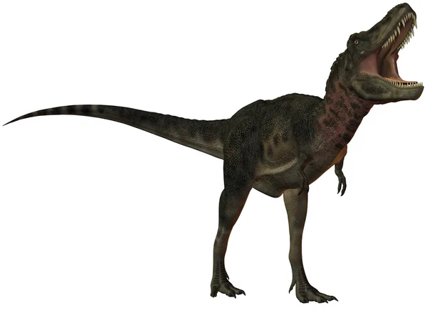 Tarbosaurus bataar 3d 恐龙 — 图库照片