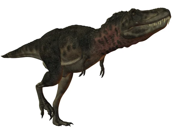 Tarbosaurus bataar 3d 恐龙 — 图库照片