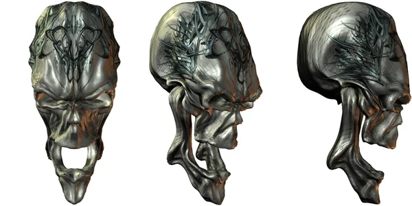 Crânes de fantaisie 3D — Photo