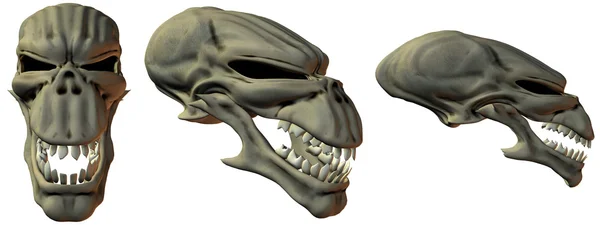 stock image 3D Fantasy Skulls