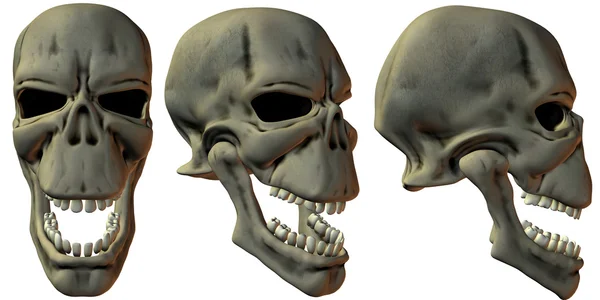 Трехмерные черепа — стоковое фото