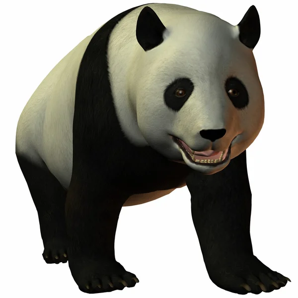 Toon панда — стокове фото