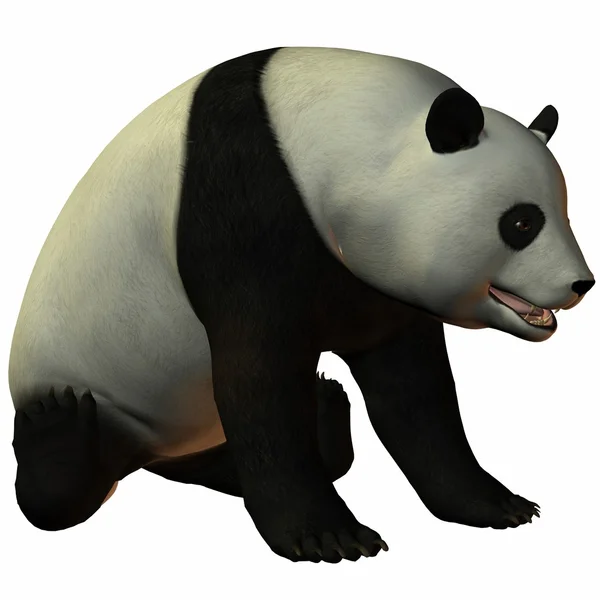 Toon Panda — Zdjęcie stockowe