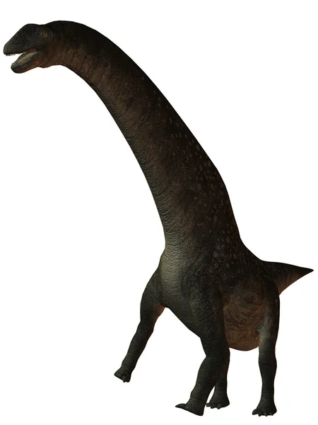 Titanosaurus colberti 3d 恐龙 — 图库照片