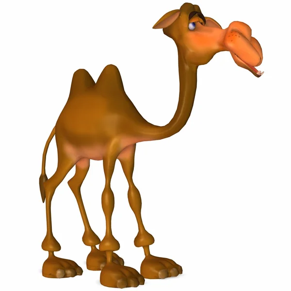 Camello Toon —  Fotos de Stock
