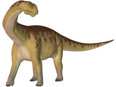 Camarasaurus-3d dinazor