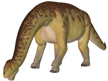 Camarasaurus-3d dinazor