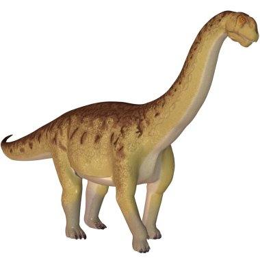 Camarasaurus-3d dinazor