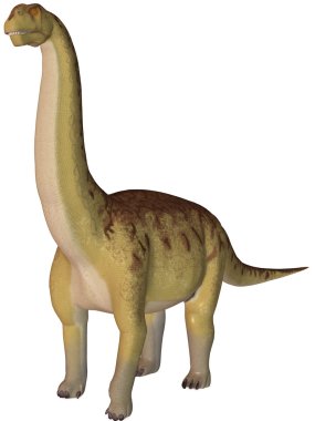 Camarasaurus-3d dinazor