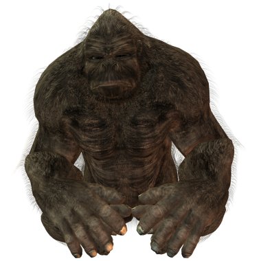 gümüş sırtlı goril