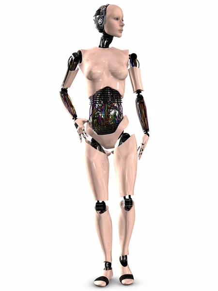 SheRobot - 3D Figure — Stock Photo, Image