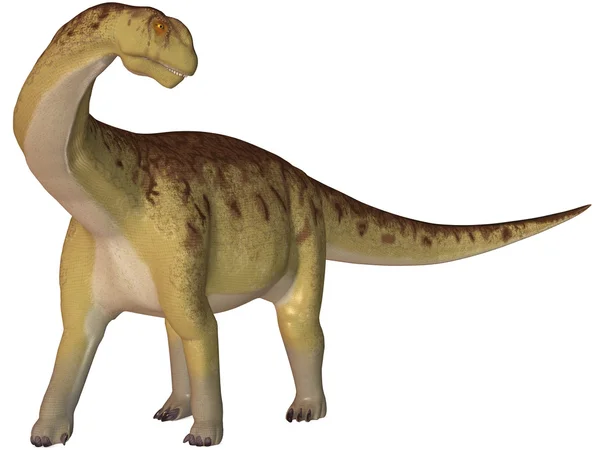 Dinosaurio Camarasaurus-3D — Foto de Stock
