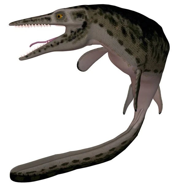 Moszaszaurusz-félék-3d lepidosauriák — Stock Fotó