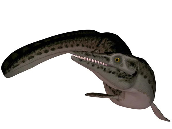 Mosasaurier-Lepidosaurier — Stockfoto