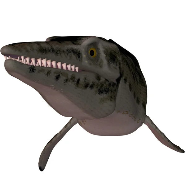 Mosasaur-3d Lepidosaurs — Stok fotoğraf
