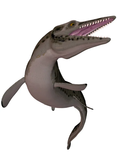 モササウルス科 3 d lepidosaurs — ストック写真
