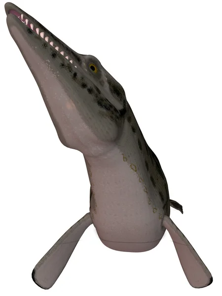 Moszaszaurusz-félék-3d lepidosauriák — Stock Fotó