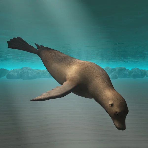 Seal 3D — Stock Photo, Image