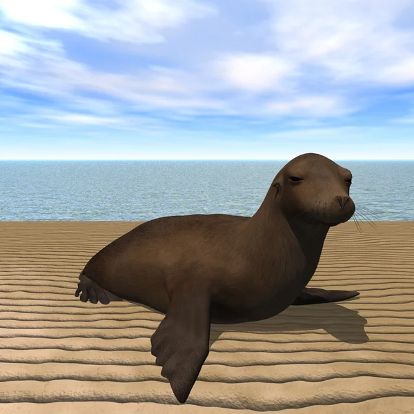 Seal 3D — Stock Photo, Image