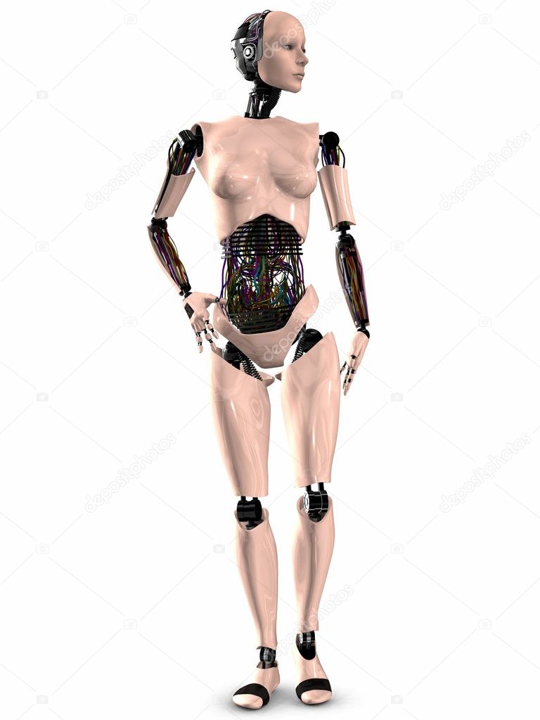 SheRobot - 3D Figure