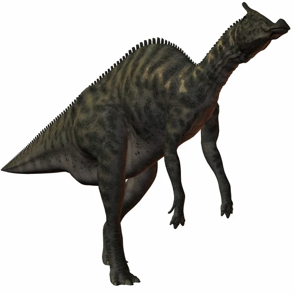 Saurolophus angustirostris 3d 恐龙 — 图库照片