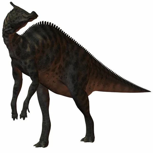 Saurolophus Angustirostris-3D Dinosaurio — Foto de Stock