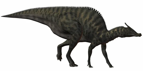 Saurolophus Angustirostris-3D Dinor — стоковое фото